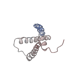 21906_6wu6_K_v1-1
succinate-coenzyme Q reductase