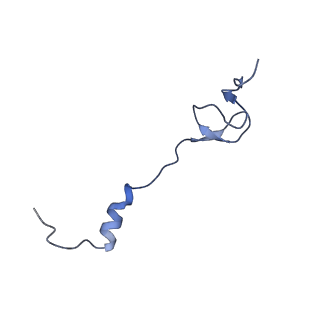 21907_6wu9_2_v1-1
50S subunit of 70S Ribosome Enterococcus faecalis MultiBody refinement