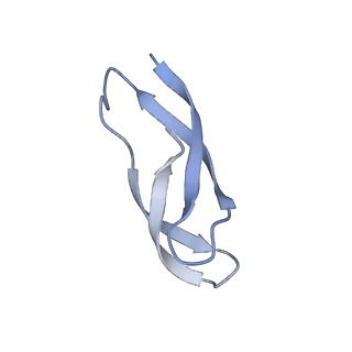 21907_6wu9_3_v1-2
50S subunit of 70S Ribosome Enterococcus faecalis MultiBody refinement