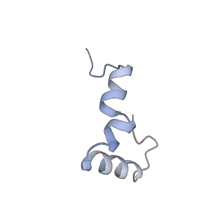21907_6wu9_4_v1-1
50S subunit of 70S Ribosome Enterococcus faecalis MultiBody refinement