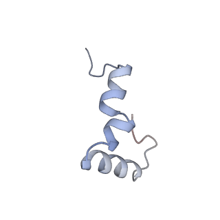 21907_6wu9_4_v1-2
50S subunit of 70S Ribosome Enterococcus faecalis MultiBody refinement