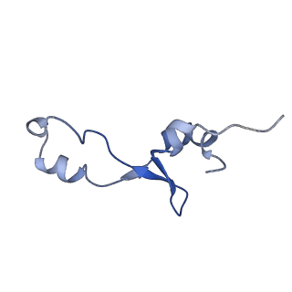 21907_6wu9_5_v1-1
50S subunit of 70S Ribosome Enterococcus faecalis MultiBody refinement