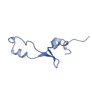 21907_6wu9_5_v1-2
50S subunit of 70S Ribosome Enterococcus faecalis MultiBody refinement