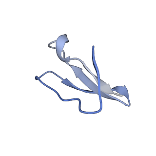 21907_6wu9_6_v1-2
50S subunit of 70S Ribosome Enterococcus faecalis MultiBody refinement