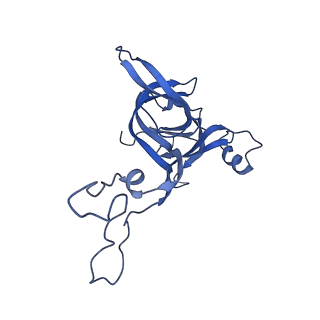 21907_6wu9_D_v1-2
50S subunit of 70S Ribosome Enterococcus faecalis MultiBody refinement