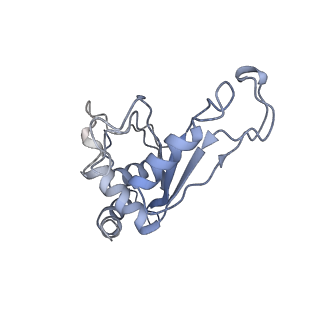 21907_6wu9_F_v1-1
50S subunit of 70S Ribosome Enterococcus faecalis MultiBody refinement
