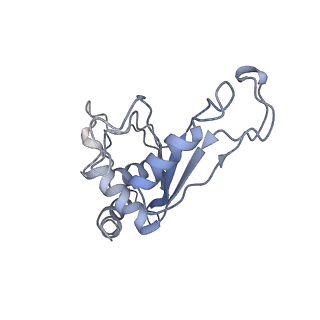 21907_6wu9_F_v1-2
50S subunit of 70S Ribosome Enterococcus faecalis MultiBody refinement