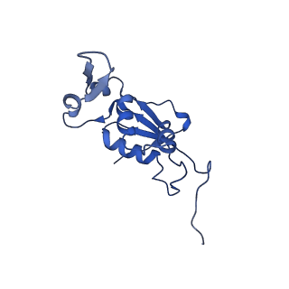 21907_6wu9_K_v1-1
50S subunit of 70S Ribosome Enterococcus faecalis MultiBody refinement