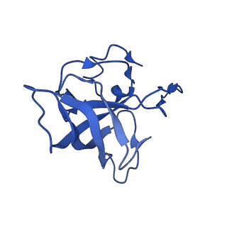 21907_6wu9_L_v1-1
50S subunit of 70S Ribosome Enterococcus faecalis MultiBody refinement