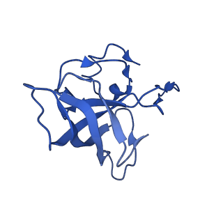 21907_6wu9_L_v1-2
50S subunit of 70S Ribosome Enterococcus faecalis MultiBody refinement