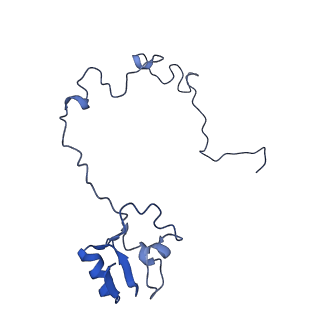 21907_6wu9_M_v1-1
50S subunit of 70S Ribosome Enterococcus faecalis MultiBody refinement