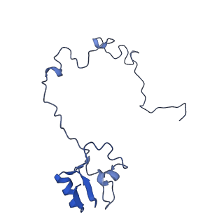 21907_6wu9_M_v1-2
50S subunit of 70S Ribosome Enterococcus faecalis MultiBody refinement