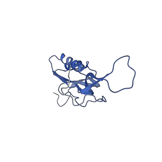 21907_6wu9_N_v1-2
50S subunit of 70S Ribosome Enterococcus faecalis MultiBody refinement