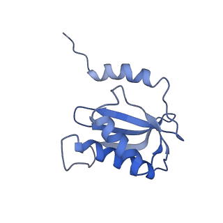 21907_6wu9_P_v1-1
50S subunit of 70S Ribosome Enterococcus faecalis MultiBody refinement