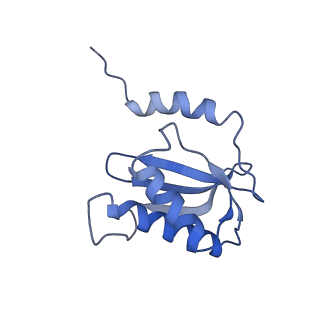 21907_6wu9_P_v1-2
50S subunit of 70S Ribosome Enterococcus faecalis MultiBody refinement