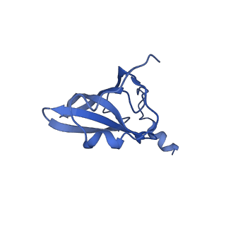 21907_6wu9_Q_v1-1
50S subunit of 70S Ribosome Enterococcus faecalis MultiBody refinement