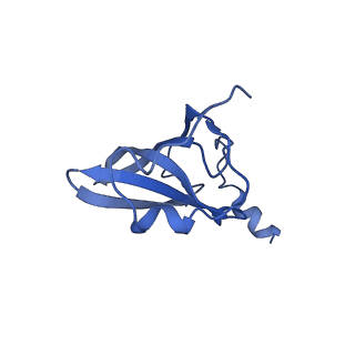 21907_6wu9_Q_v1-2
50S subunit of 70S Ribosome Enterococcus faecalis MultiBody refinement