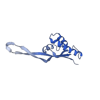 21907_6wu9_T_v1-2
50S subunit of 70S Ribosome Enterococcus faecalis MultiBody refinement