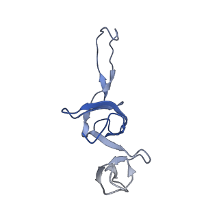21907_6wu9_V_v1-1
50S subunit of 70S Ribosome Enterococcus faecalis MultiBody refinement