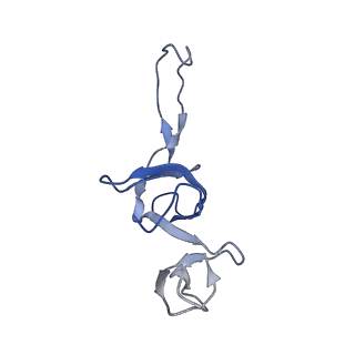 21907_6wu9_V_v1-2
50S subunit of 70S Ribosome Enterococcus faecalis MultiBody refinement