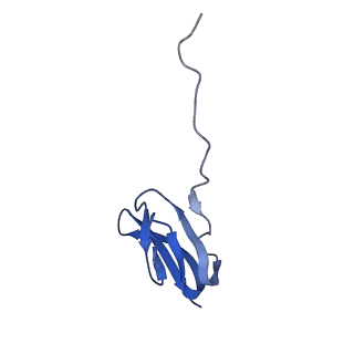 21907_6wu9_X_v1-1
50S subunit of 70S Ribosome Enterococcus faecalis MultiBody refinement