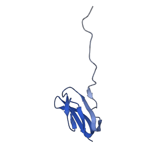 21907_6wu9_X_v1-2
50S subunit of 70S Ribosome Enterococcus faecalis MultiBody refinement