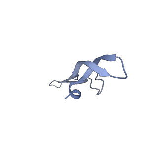 21907_6wu9_Y_v1-2
50S subunit of 70S Ribosome Enterococcus faecalis MultiBody refinement