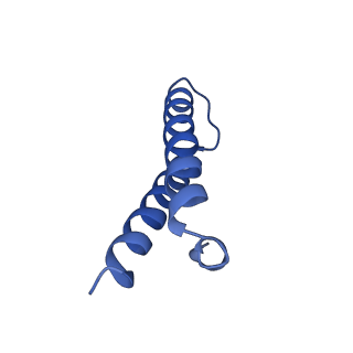 21907_6wu9_Z_v1-2
50S subunit of 70S Ribosome Enterococcus faecalis MultiBody refinement