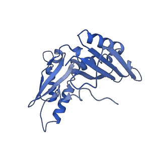 21908_6wua_c_v1-1
30S subunit (head) of 70S Ribosome Enterococcus faecalis MultiBody refinement