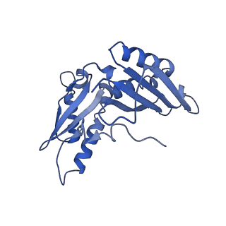 21908_6wua_c_v1-2
30S subunit (head) of 70S Ribosome Enterococcus faecalis MultiBody refinement