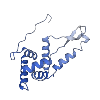21908_6wua_g_v1-1
30S subunit (head) of 70S Ribosome Enterococcus faecalis MultiBody refinement