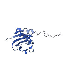 21908_6wua_i_v1-1
30S subunit (head) of 70S Ribosome Enterococcus faecalis MultiBody refinement