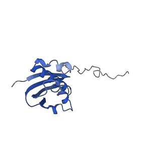 21908_6wua_i_v1-2
30S subunit (head) of 70S Ribosome Enterococcus faecalis MultiBody refinement