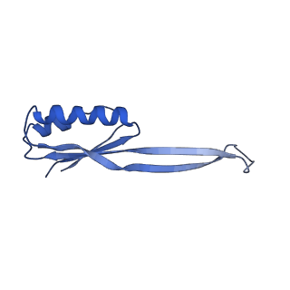 21908_6wua_j_v1-2
30S subunit (head) of 70S Ribosome Enterococcus faecalis MultiBody refinement