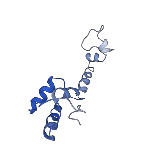 21908_6wua_m_v1-1
30S subunit (head) of 70S Ribosome Enterococcus faecalis MultiBody refinement