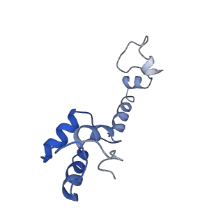 21908_6wua_m_v1-2
30S subunit (head) of 70S Ribosome Enterococcus faecalis MultiBody refinement