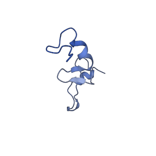 21908_6wua_n_v1-1
30S subunit (head) of 70S Ribosome Enterococcus faecalis MultiBody refinement
