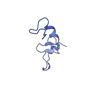 21908_6wua_n_v1-2
30S subunit (head) of 70S Ribosome Enterococcus faecalis MultiBody refinement