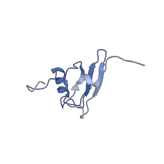 21908_6wua_s_v1-1
30S subunit (head) of 70S Ribosome Enterococcus faecalis MultiBody refinement