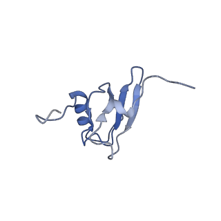 21908_6wua_s_v1-2
30S subunit (head) of 70S Ribosome Enterococcus faecalis MultiBody refinement