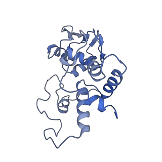 21909_6wub_d_v1-1
30S subunit (head) of 70S Ribosome Enterococcus faecalis MultiBody refinement