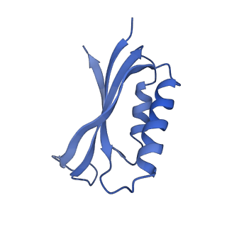 21909_6wub_f_v1-2
30S subunit (head) of 70S Ribosome Enterococcus faecalis MultiBody refinement