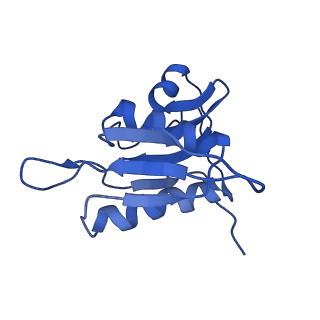 21909_6wub_h_v1-1
30S subunit (head) of 70S Ribosome Enterococcus faecalis MultiBody refinement