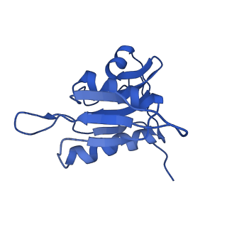 21909_6wub_h_v1-2
30S subunit (head) of 70S Ribosome Enterococcus faecalis MultiBody refinement