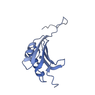 21909_6wub_k_v1-1
30S subunit (head) of 70S Ribosome Enterococcus faecalis MultiBody refinement
