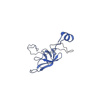 21909_6wub_l_v1-2
30S subunit (head) of 70S Ribosome Enterococcus faecalis MultiBody refinement