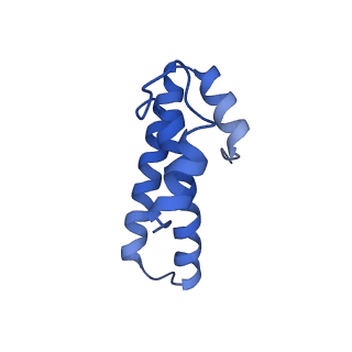 21909_6wub_o_v1-2
30S subunit (head) of 70S Ribosome Enterococcus faecalis MultiBody refinement