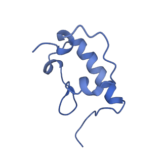 21909_6wub_r_v1-1
30S subunit (head) of 70S Ribosome Enterococcus faecalis MultiBody refinement