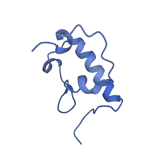 21909_6wub_r_v1-2
30S subunit (head) of 70S Ribosome Enterococcus faecalis MultiBody refinement