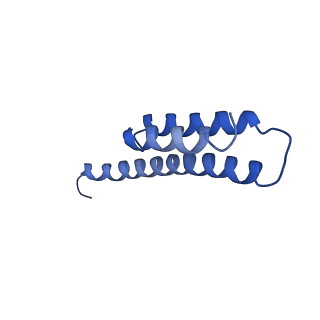 21909_6wub_t_v1-2
30S subunit (head) of 70S Ribosome Enterococcus faecalis MultiBody refinement